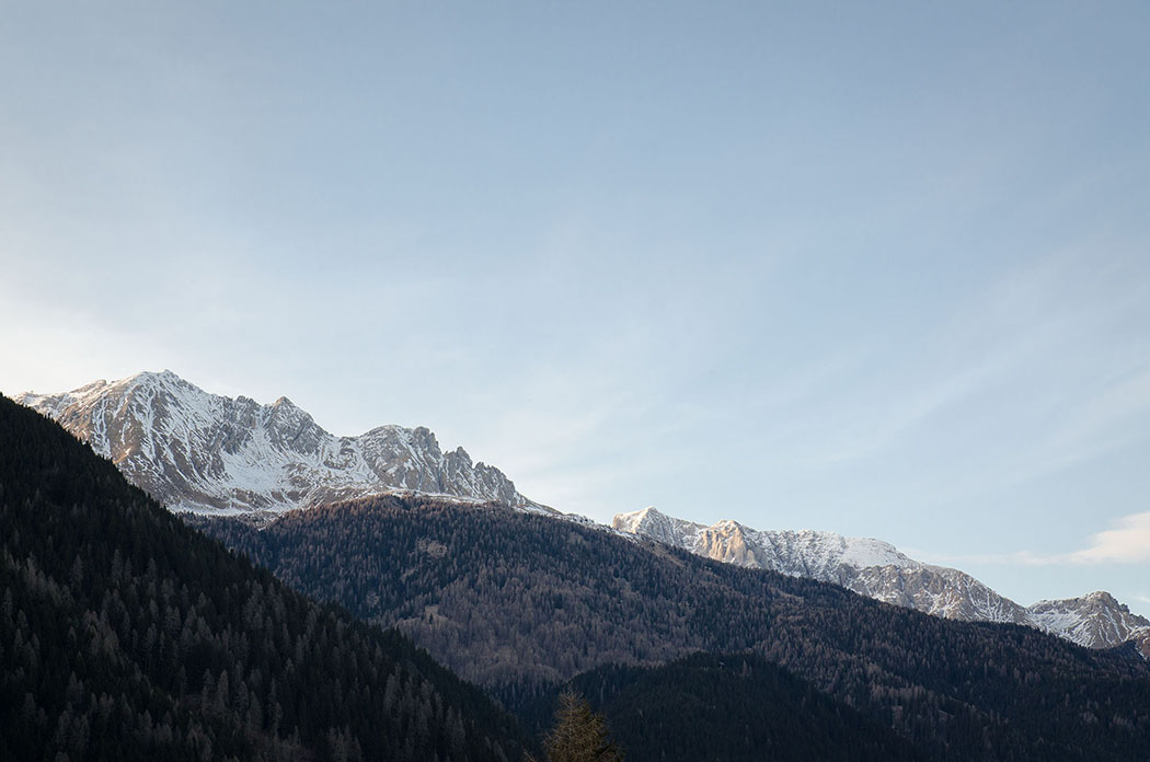 Alpi